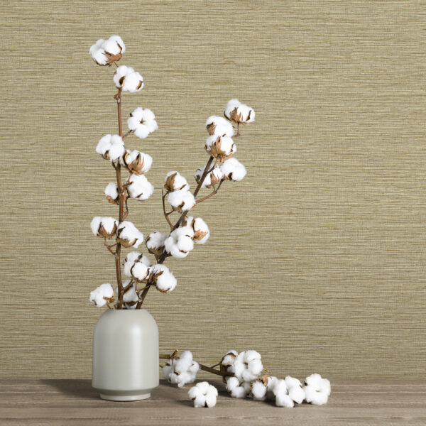 BETA 1101 Series | Modern Striped Wallpaper